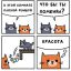 Кошки, фэншуй