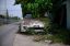 зелень, автомобиль, supra a80, Фукусима, забор, листва, плющ, дорога