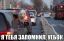 лама, альпака, уебок, взгляд, авто