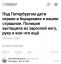 дети, борщевик, нога, рука
