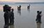 собаки, сапоги, вода