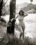 Анита Экберг, купальник, река, горы, лес, дерево, Anita Ekberg