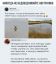 Австралия, кенгуру, вода, лужа, озеро, убийство