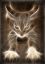 кошка, фантом