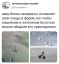 следы, заяц, хуй, снег