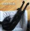 кот, Nike, логотип