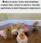 Цыплята, юбки, топлес