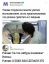 улитка, ученый, память, прибор