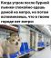 Метро, вагон, пёс
