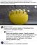 Лайфхак, лимон, лес, заблудился