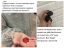 анальная пробка