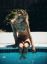 kenzie kersen, aaron feaver, бассейн, трусы, бикини, топлесс