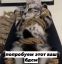 котенок, верёвка, бдсм, шибари