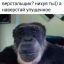 обезьяна, верстальщик, наверстай, упущенное