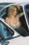 Elle Brittain, Porsche, автомобиль, декольте, вырез, платье, кольцо, забор