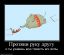 слон, помощь, жопа