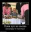 Вовка, путин, обед, шоколадка