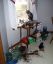 коты, окно, цветы