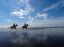 лошади, море, берег, небо, собака, чайки, облака