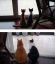 коты, сначала, потом