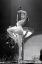 Dita von Teese, Шампанское, попа