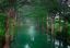 река, деревья, изумрудная, вода