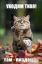 котэ, смешной, милашка