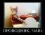 проводник, чаю