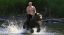 путин, медведь, фотожаба, скачка, брызги