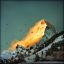 утро, гора, солнце, восход, Matterhorn