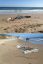 катер, песок, море, океан