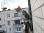 котенок, панелька, взгляд, кошка
