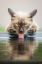 котэ, язык, вода, взляд
