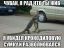 сумка, крокодил, ящерица, ровер
