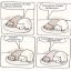 коты, воскресенье, понедельник, расслабься, отдых, выходной