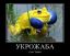 Политота, укрожаба